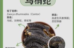 乌梢蛇佛手胶囊正品价格便宜吗？